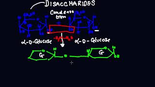 Disaccharides Explained Types Structure and Examples  Biochemistry Basicsquot  part 1 [upl. by Ryter923]