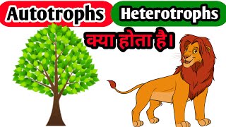 AUTOTROPHS HETEROTROPHS Autotrophs And Heterotrophs BIOBOX What Is Autotrophs [upl. by Iroj152]