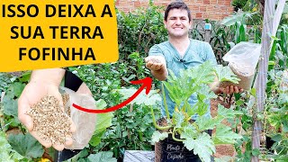 VERMICULITA na HORTA como USAR nas PLANTAS da forma CERTA melhorando o SUBSTRATO de CULTIVO [upl. by Kunz]