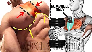 6 BEST INNER CHEST EXERCISES WITH DUMBBELLS ONLY AT HOME OR GYM [upl. by Eilrac]