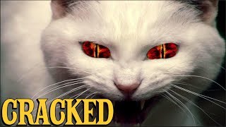 6 Scientific Findings That Prove Cats Are Evil [upl. by Notlaw]