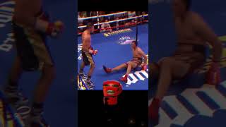 David Benavidez noqueado contra Gavril boxing boxeo mexicanboxer caneloalvarez canelo [upl. by Esinyl]