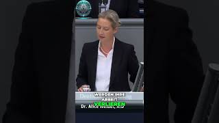 Alice Weidel  Die Auswirkungen der Inflation und Energiekrise auf den Mittelstand in Deutschland [upl. by Nacnud56]