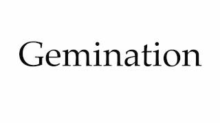 How to Pronounce Gemination [upl. by Attennek726]