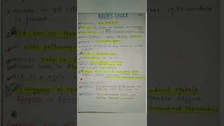 Krebs cycle PHYSIOLOGY krebscycle [upl. by Annid]