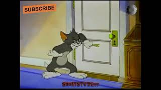 Tom and jerry hindi dubbed movie cartoon trending youtube youtubeshorts [upl. by Roumell]