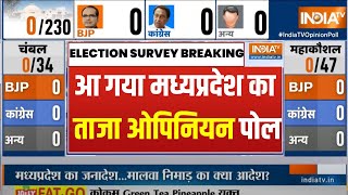 MP Election Opinion Poll 2023  मध्यप्रदेश के 230 सीटों पर सबसे ताजा ओपिनियन पोल  MP News [upl. by Euqinad]