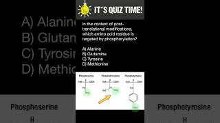 Phosphorylation of Amino acids [upl. by Aracot6]