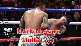 Mark Magsayo contra Julio Ceja KNOCKOUT HIGHLIGHTS [upl. by Kathy]