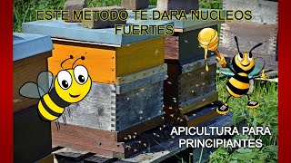 Cómo hacer nuevas familias de abejas Núcleos de abejas temporada 2021 Reproducción de abejas [upl. by Krauss]