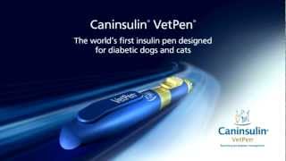 How to use Caninsulin VetPen [upl. by Ittak242]