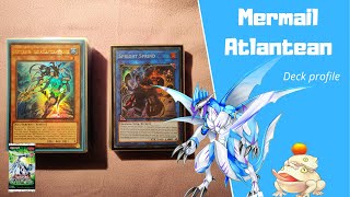 YuGiOh Mermail Atlantean DECK PROFILE Indepth September 2023 format One card combos [upl. by Eiramesor]