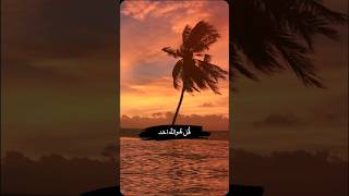 Quran tlawat viralshotsvideo viralvideo ismalic quranaudio اكسبلور islimik [upl. by Mharg]