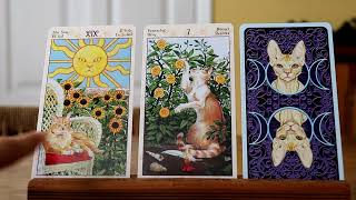 Tarot Reading for Feb 26  March 3 [upl. by Anawd]