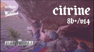 UNCUT Dave Graham  Citrine 8BV14 First Ascent [upl. by Urian959]