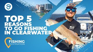 Fishing in Clearwater An Anglers Guide  FishingBooker [upl. by Apfelstadt]