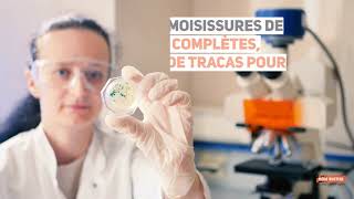 Décontamination et élimination de moisissure à Montréal tests d’amiante et de la qualité de l’air [upl. by Cleveland]