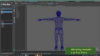 WORKMANs template rigging  overview [upl. by Nodroj]