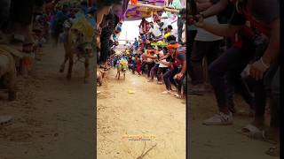 vellore eruthukattu whatsapp status velloreeruthukattu vellore eruthukattu rap song [upl. by Immak986]