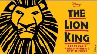 Disneys The Lion King  Orpheum Theatre  Minneapolis [upl. by Ellora]