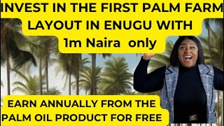 EARN WITH AGRO REAL ESTATE IN ENUGU  FARMING IN ENUGU  PALM FARM ENUGU  CHEAP PROPERTIES IN ENUGU [upl. by Zacharias771]