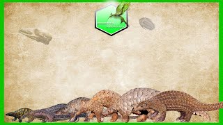 Pangolin Size Comparison LIVING EXTINCT [upl. by Yznyl]