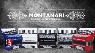 El Nuevo Montanari Acordeon de Piano  5 Switches [upl. by Nytsirk]