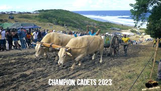 FESTIVAL DES BOEUFSTIRANTS 2023  PORTLAND  MOULE  Final  Catégorie Cadets [upl. by Ullman]