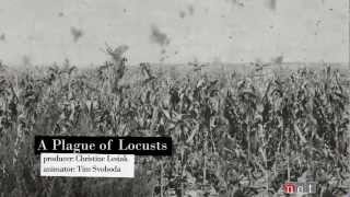 A Plague of Locusts  Nebraska Stories [upl. by Neville]