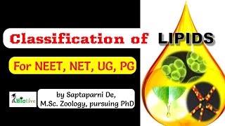 Classification of Lipids [upl. by Hesky]