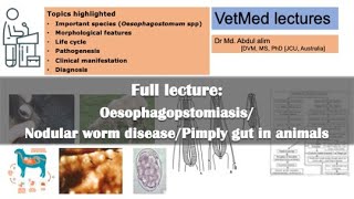 Nodular worm disease Cause morphology life cycle pathogenesis symptoms amp diagnosis  English [upl. by Weaver]