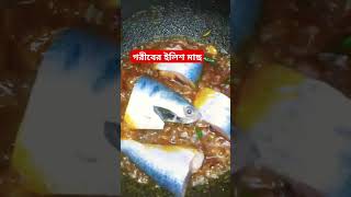 গরীবের ইলিশ মাছ🐳🐋🦭🐟 foryou viralreels rajshahiblog shorts short [upl. by Nari385]