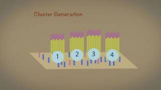 Introduction to Next Generation Sequencing [upl. by Tatiana]