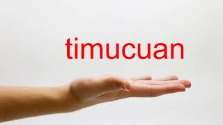 How to Pronounce timucuan  American English [upl. by Drabeck]