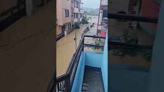 During heavy rains flood near medicity hospital Nakhukhola lalitpur news [upl. by Enelegna477]