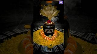 Namami Shamishan Nirvan Roopam 🕉️🔱🕉️ shorts mahadev [upl. by Yatnoed]