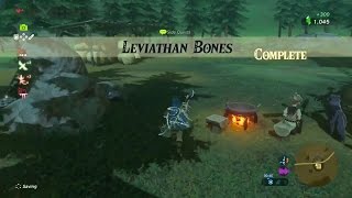 Zelda Breath of the Wild  Leviathan Bones Side Quest  Woodland Tower Region [upl. by Oregolac]