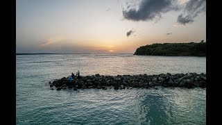 quot Levittown Puerto Rico quot Flight by Adam Ayala Edited by James Ayala [upl. by Allemahs]