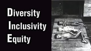 Jordan Peterson  Diversity Inclusivity amp Equity [upl. by Yremogtnom]