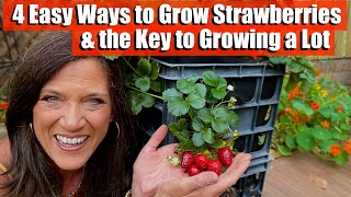 4 Ways to Grow Strawberries amp the Key to Growing a Lot [upl. by Sheelah]