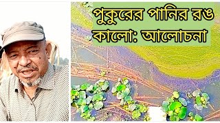 পুকুরের পানির রঙ কালোআলোচনা। Colour of pond water turns black Discussion Abeed Lateef [upl. by Feodore]