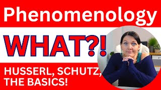 Phenomenology for beginners  Husserl and Schutz explained  Intentional consciousness essence etc [upl. by Elleinnad407]