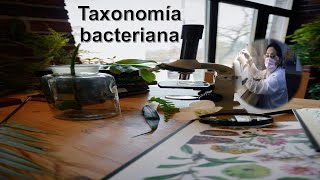 Lo que no sabías de la taxonomía bacteriana [upl. by Haldane158]