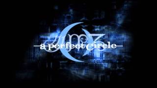 A Perfect Circle  Orestes Acoustic Demo [upl. by Maude]