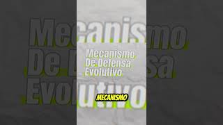 ¿TE SIENTES OBSERVADO LA EXPLICACIÓN A LA SENSACIÓN DE PRESENCIAS INEXPLICABLES [upl. by Aicinod]