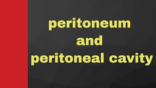 Peritoneal cavity  basic anatomy of peritoneum with notes [upl. by Lefty475]