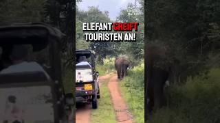 Elefant greift Touristen an [upl. by Wren]