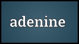 Adenine Meaning [upl. by Balthasar]