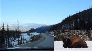 Driving the Alaska Highway Time lapse [upl. by Isayg948]