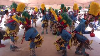 Danza Tipica de Mexico desde Buenavista Tepetongo [upl. by Nylatsyrc]